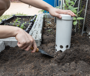 In ground worm composter