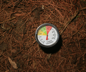 Thermometer