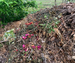 Compost heaps
