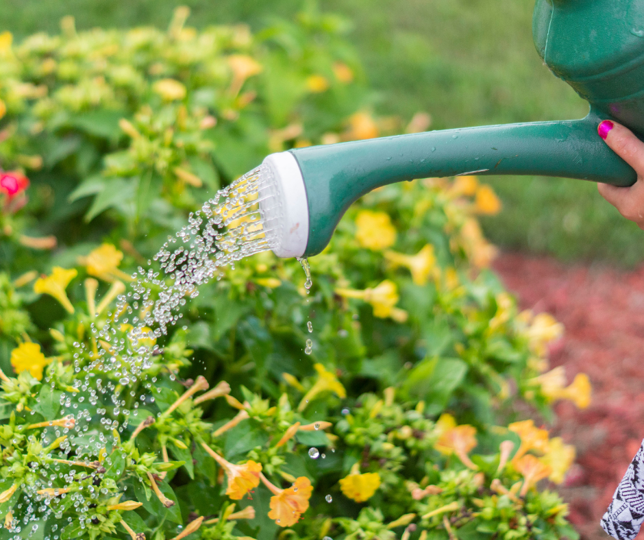 Watering can