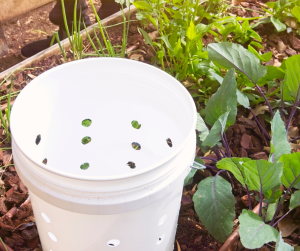 In DIY ground worm composter