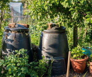 Compost Bins