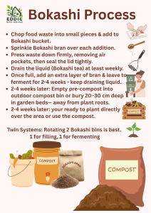 Bokashi Infographic