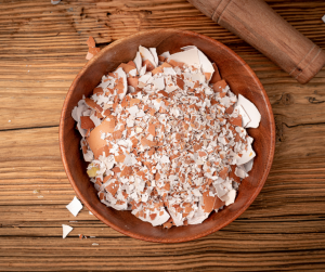 Egg Shells