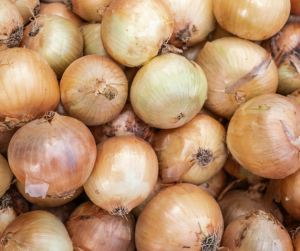 Onion