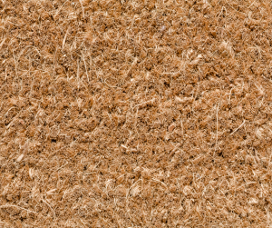 Coco Coir