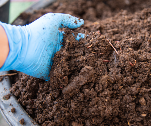 Specialist Worm Mixes