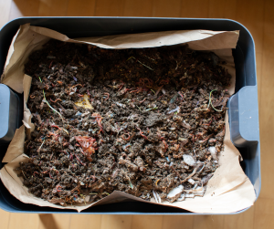 Specialist Worm Mixes