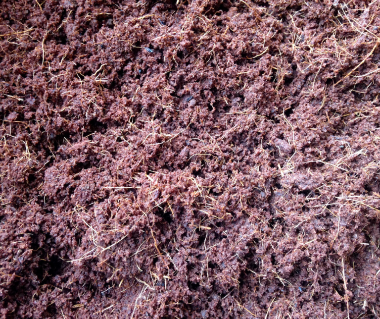 Coco Coir Loose