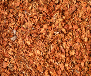 Coir Husk
