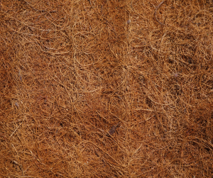 Coco Coir Block