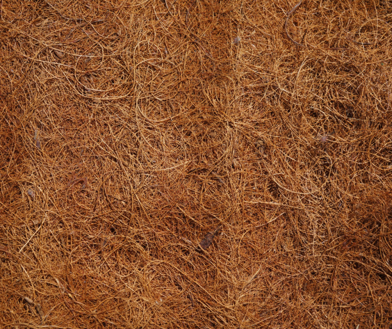 Coco Coir Block