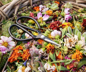 Deadheaded Flowers