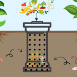VERMICOMPOSTING-1