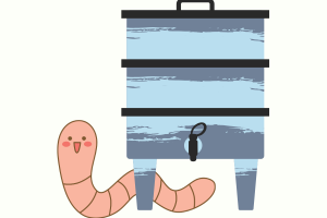 Worm Composting