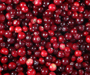 Cranberry