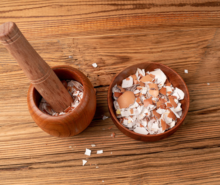 Egg Shells