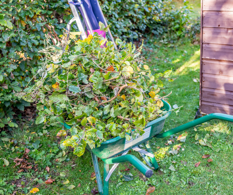 Hedge trimmings