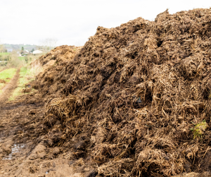 Manure