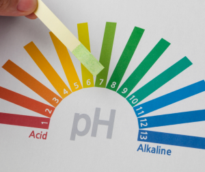 pH litmus paper