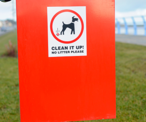 Pet Waste