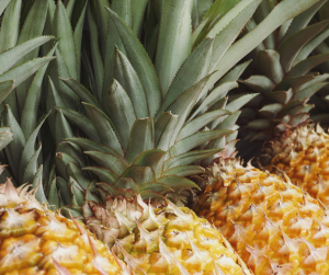 Pineapple