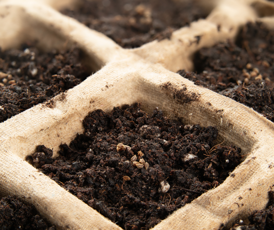 seed starter