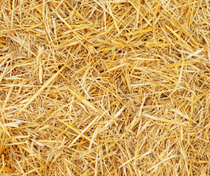 Straw