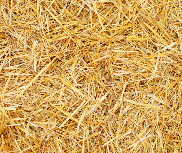 Straw