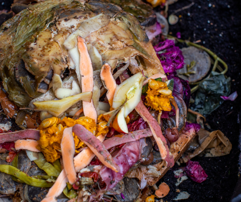 Fresh Bokashi Waste