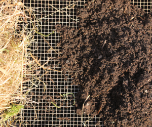 Compost Sieve