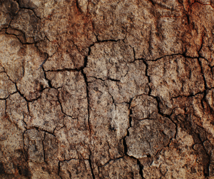 Heavy clay soil (2)