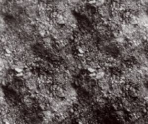 Rock Dust