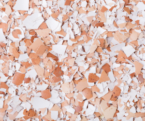 Crushed Shells