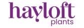 Hayloft Plants - Accelerate - UK