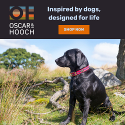 imgohsignaturerangesquare250x250px-1746021527623