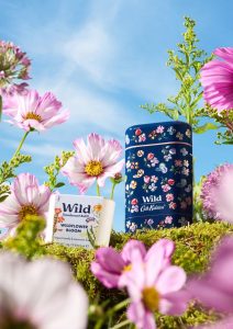 imguntitleddesign11-1758120731780