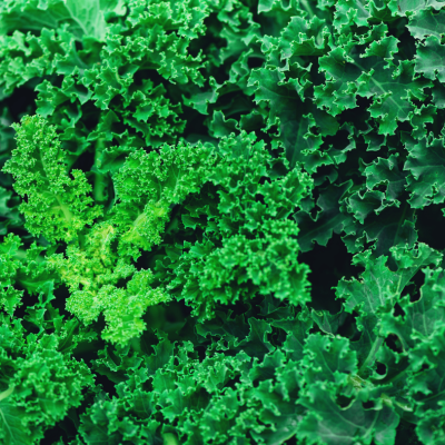 Kale