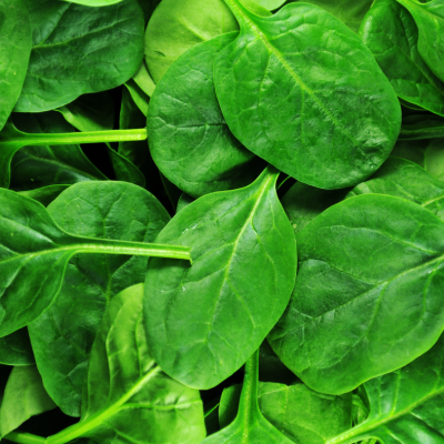 Spinach